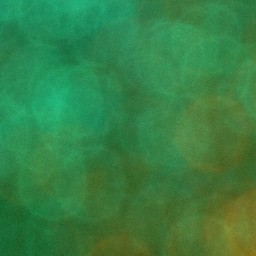 Bokeh-367